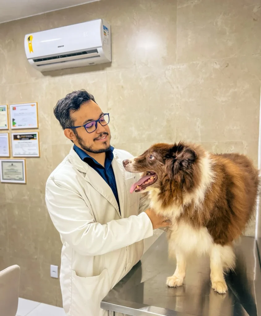 Dr. Pedro Nóbrega examinando um cão